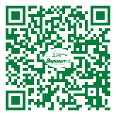 QR-код этой страницы
