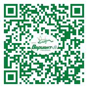 QR-код этой страницы