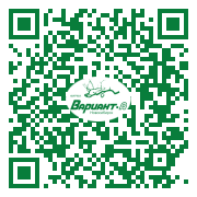 QR-код этой страницы