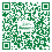 QR-код этой страницы