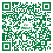 QR-код этой страницы