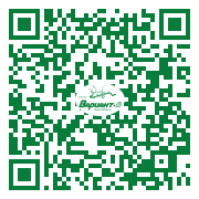 QR-код этой страницы