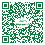 QR-код этой страницы