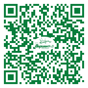 QR-код этой страницы