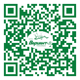 QR-код этой страницы