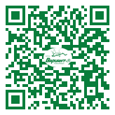 QR-код этой страницы