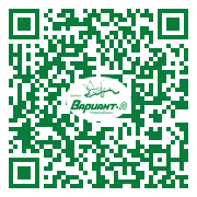 QR-код этой страницы