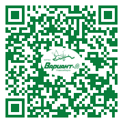 QR-код этой страницы