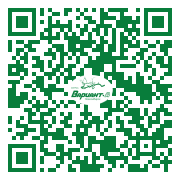 QR-код этой страницы