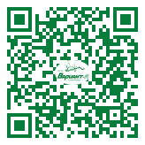 QR-код этой страницы