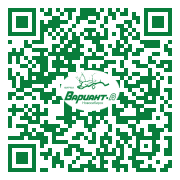 QR-код этой страницы