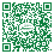 QR-код этой страницы