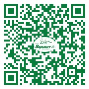 QR-код этой страницы