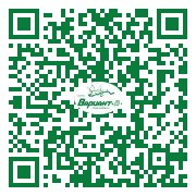 QR-код этой страницы