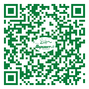 QR-код этой страницы