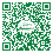 QR-код этой страницы