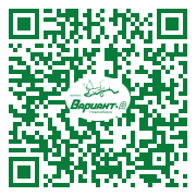 QR-код этой страницы