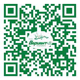 QR-код этой страницы