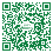 QR-код этой страницы