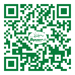 QR-код этой страницы