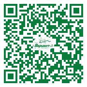 QR-код этой страницы