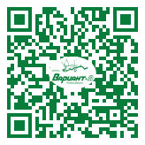 QR-код этой страницы