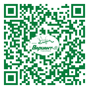 QR-код этой страницы