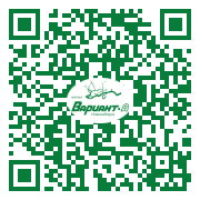 QR-код этой страницы