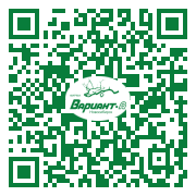 QR-код этой страницы