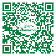 QR-код этой страницы