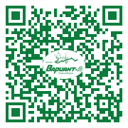 QR-код этой страницы