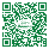 QR-код этой страницы