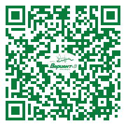 QR-код этой страницы