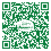 QR-код этой страницы