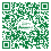 QR-код этой страницы