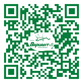 QR-код этой страницы