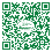 QR-код этой страницы