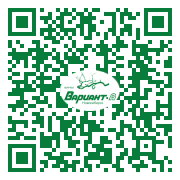 QR-код этой страницы