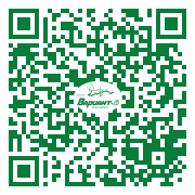 QR-код этой страницы