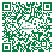 QR-код этой страницы