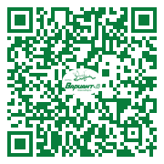 QR-код этой страницы