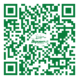 QR-код этой страницы