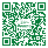 QR-код этой страницы