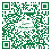 QR-код этой страницы