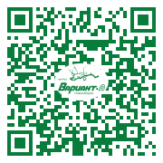 QR-код этой страницы