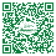 QR-код этой страницы