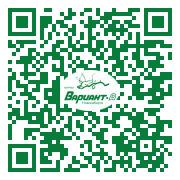 QR-код этой страницы