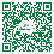 QR-код этой страницы