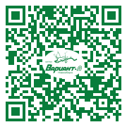 QR-код этой страницы