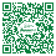 QR-код этой страницы